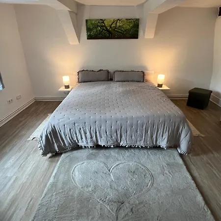 דירה Fachwerk Duck Dich מלסונגן